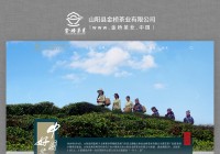 山阳网页设计_(山阳网页设计有限公司)